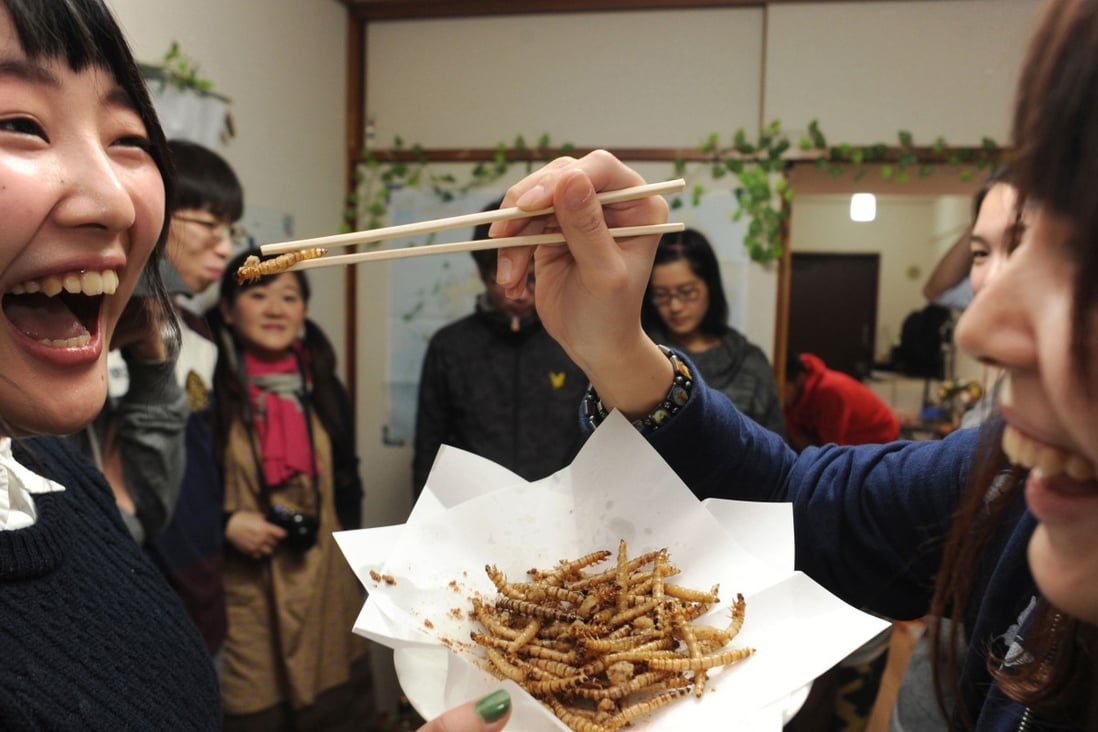 Guests eat insects at a get-together in an apartment in Yokohama, south of Tokyo, on December 21, 2015. Photo: AFP