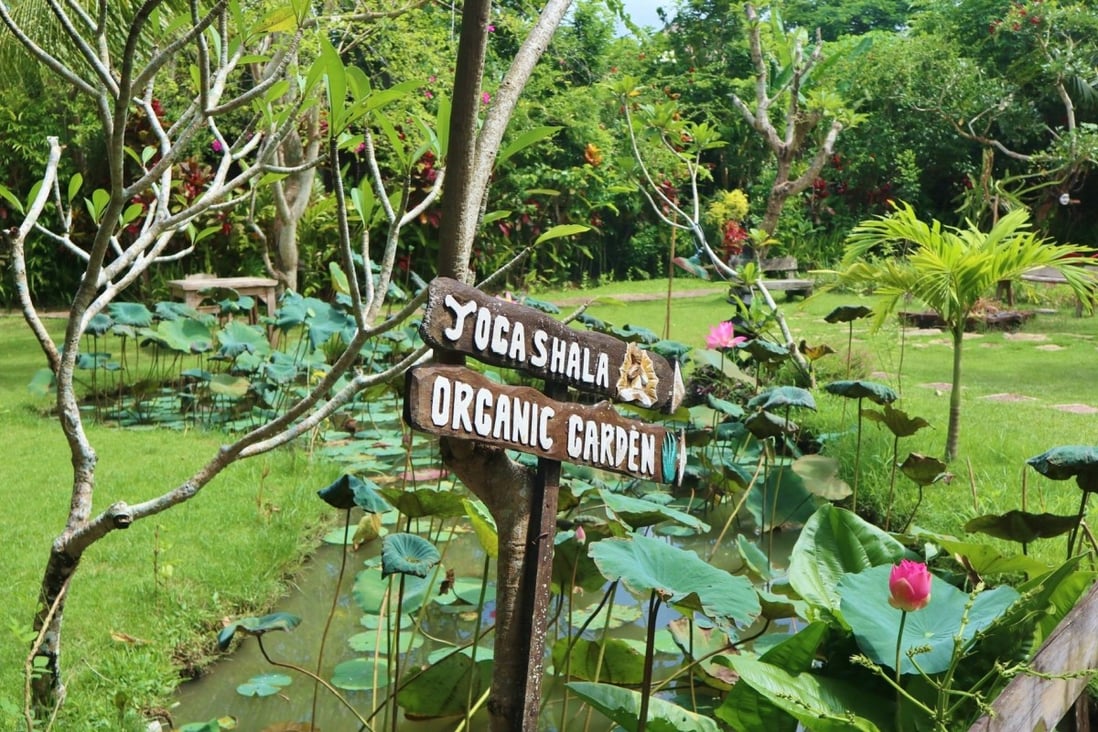 How An Eco Focused Resort In Bali Can Help You To Feel Good And Do Right By The Planet South China Morning Post
