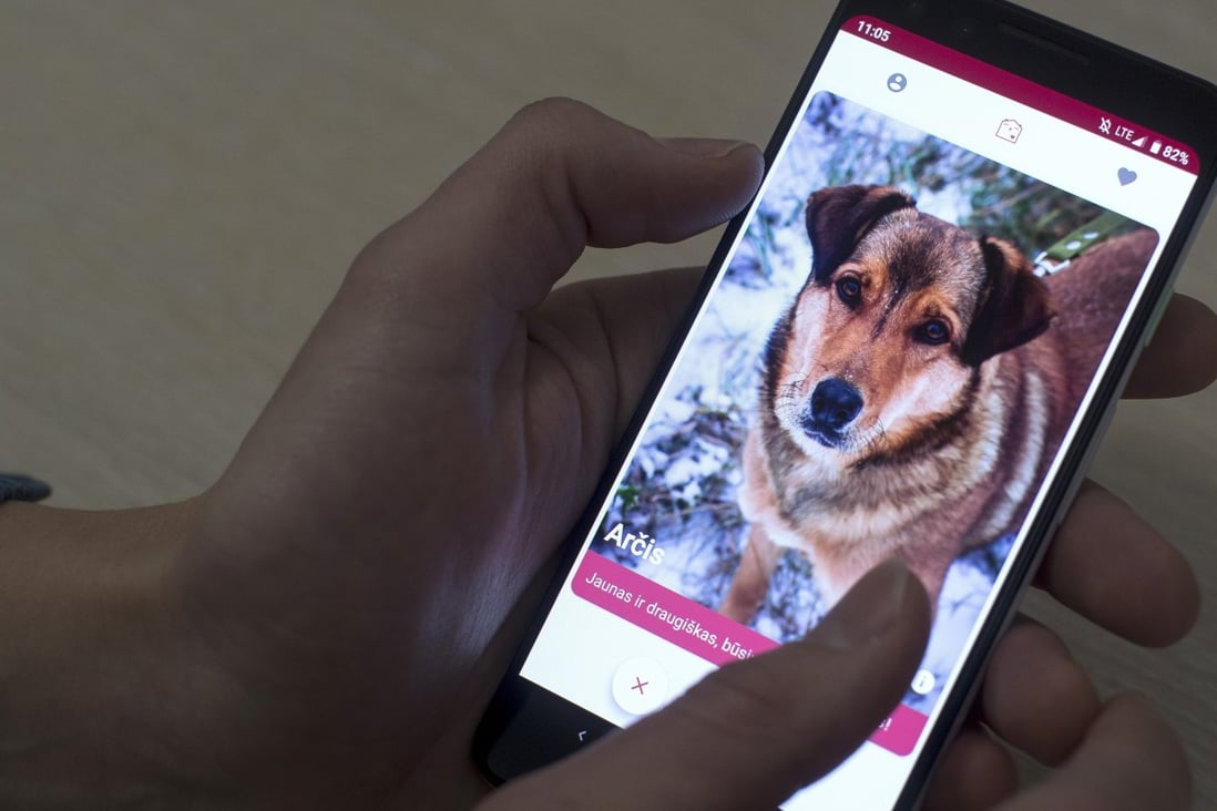 For that perfect dog match, swipe right | South China Morning Post