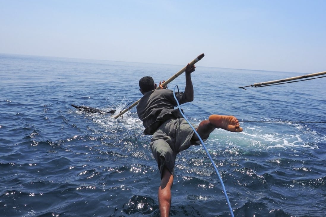 A lamafa, or harpooner, leaps towards a dolphin, off the coast of Lamalera, Indonesia. Picture Doug Bock Clark