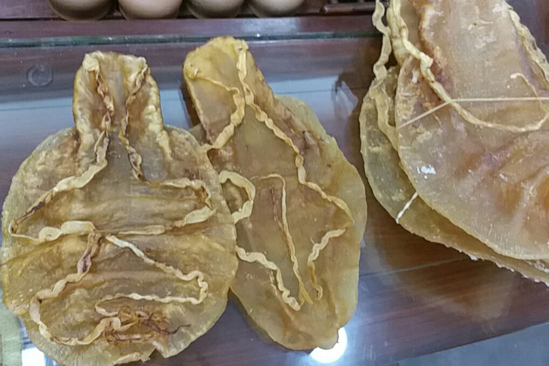 China nets 11 people for smuggling US119 million worth of rare totoaba