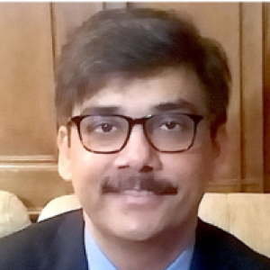 Brajendra Navnit