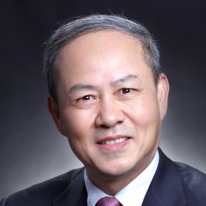 Lin Gang