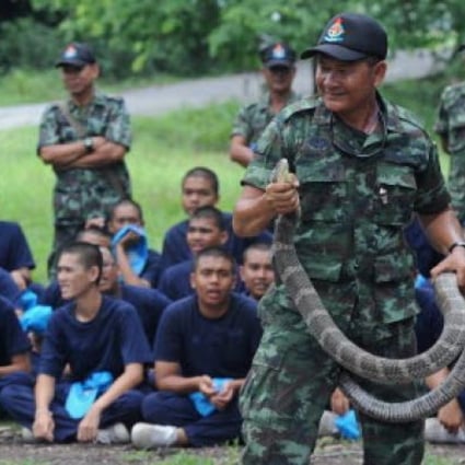 A Thai soldier holds a cobra as teenage students take part in Thai army bootcamp training at a military camp in Lopburi province. Photo: AFP.