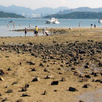 Heavy metals found at the site of the proposed beach, such as chromium and lead, could pose health risks to swimmers. Photo: SCMP