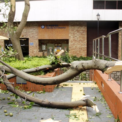 A tree collapsed on a park in Tsim Sha Tsui after Typhoon Vicente hit the city. Photo: SCMP
