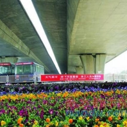 Hundreds of flower pots fill the space beneath an express bridge at the Nongye Road intersection in Zhengzhou. Picture: SCMP Pictures
