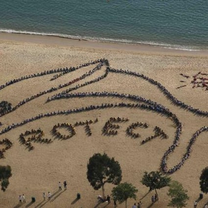 About 800 school children and teachers form the shape of a Chinese white dolphin, along with the word "Protect" and Chinese characters "Ocean" to complement the government's ban of trawling in Hong Kong from 2013. Photo: Reuters