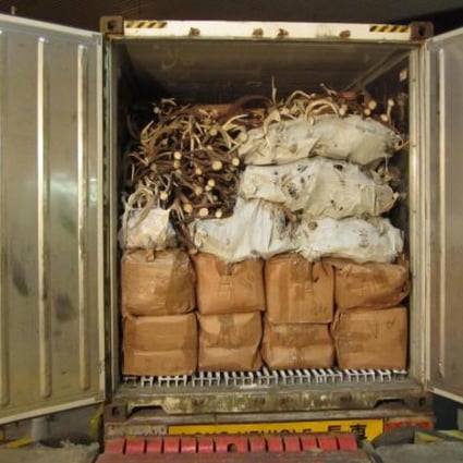 City Digest, January 8, 2013 South China Morning Post