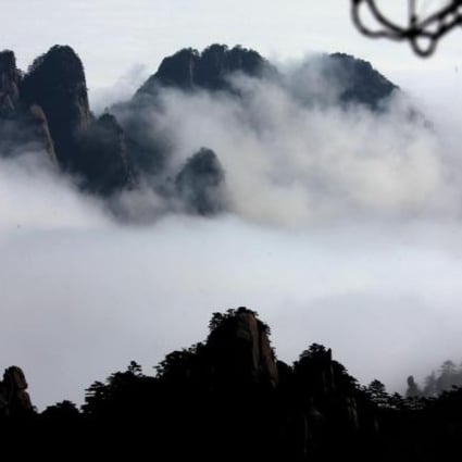Nature offers solace in poet Bai Hua's anthology,Wind Says. Photo: Xinhua