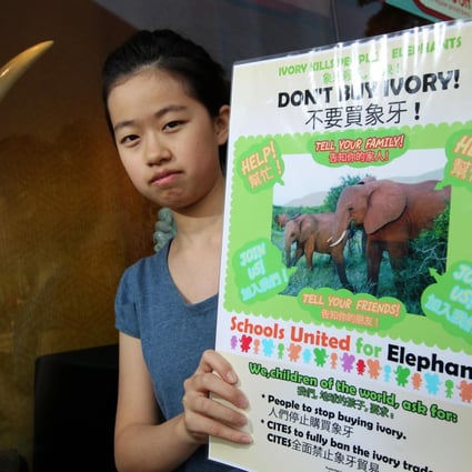 Celia Ho spreads her message outside a shop displaying ivory in Tsim Sha Tsui. Photo: Felix Wong