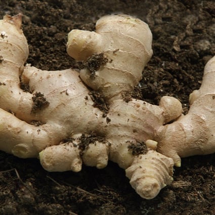 Highly toxic pesticide aldicarb is not approved for use on ginger. Photo: SCMP