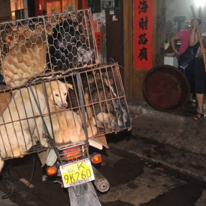Cages of dogs are delivered to an unenviable fate at a market in Yulin - a long tradition in the city.