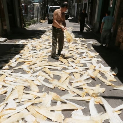 A worker arranging shark fins at Chung Ching Street in Sheung Wan. Photo: SCMP