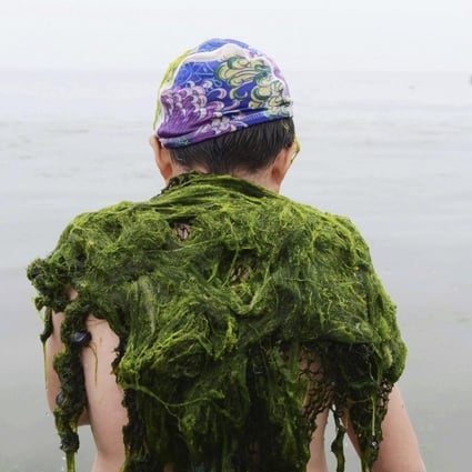 Algae on a swimmer in Qingdao, Shandong. A proposed amendment to the Environmental Protection Law limiting who can lodge public interest lawsuits has angered many. Photo: Reuters
