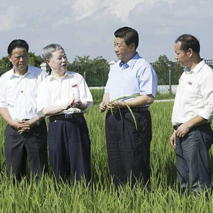 Xi Jinping tours a farm in Hubei yesterday. Photo: SCMP