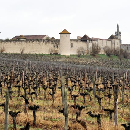 The Branda castle and vineyards that were purchased by Chinese investors in  2011. Photo: AFP