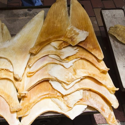 The Marine Stewardship Council certifies only two fisheries producing shark fin as sustainable. Photo: EPA