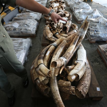 The smuggling ring illegally imported almost 12 tons of ivory worth HK$767 million. Photo: SCMP