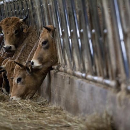 China taps Romania to meet rising meat demand.