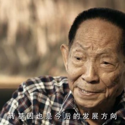 An interview image of Yuan Longping, one of the preeminent creators of hybrid rice. Photo: Nandu.com