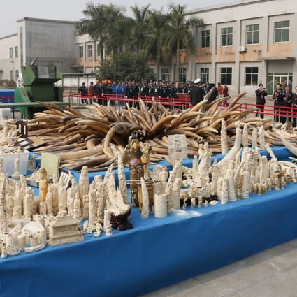 6.2 tons of confiscated ivory was crushed by Chinese customs officials under the supervision of China's State Forestry Administration on 6 January 2014.
