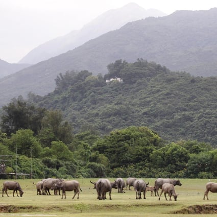 A property consultant says it would be better for the government to build theme parks on Lantau given the island's natural attractions and beaches. Photo: Edward Wong