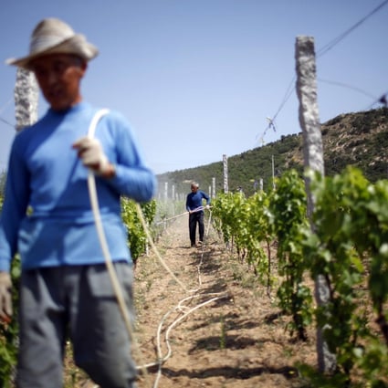 Putting Chinese wine on the map