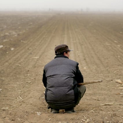 A wheat farmer in smog in Qianan, Hebei. Photo: Xinhua