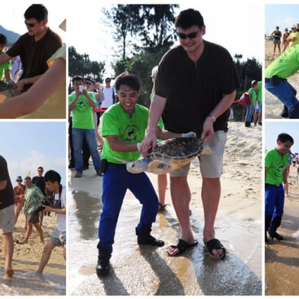 Yao Ming is seen releasing rescued green sea turtles into the ocean from a beach in Sanya. Photo: Sea Turtles 911