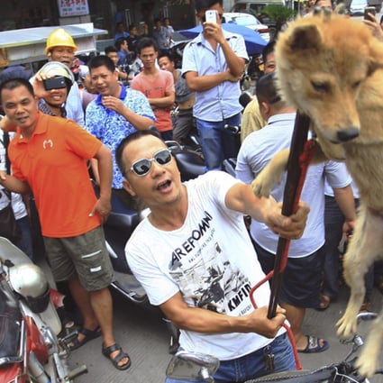 Dog-eating festival loses its bite as animal rights activists step in |  South China Morning Post