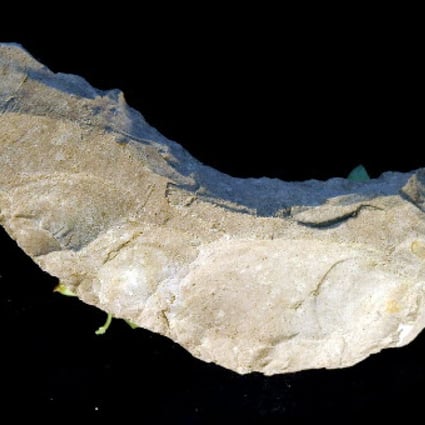The stone tools found in Mount Modao may be similar to these artefacts between 35,000 and 39,000 years old discovered at the Wong Tei Tung site in Sai Kung. Photo: SCMP Pictures