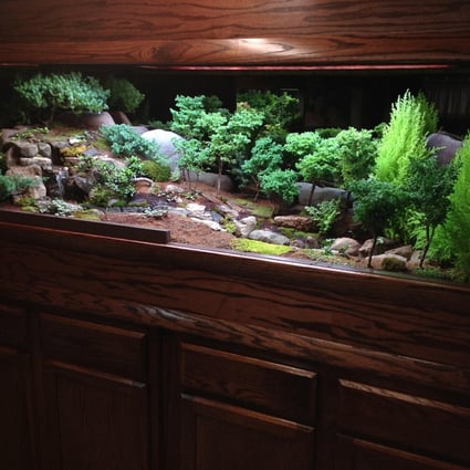 A variety of plants are at the heart of elaborate indoor water gardens created by US company Plantaria. Photo: Plantaria