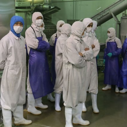 Workers stand aside as inspectors investigate the Shanghai Husi Food Company. Photo: AFP