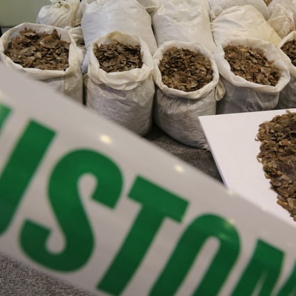 Hong Kong Customs seized about 2,340 kilograms of pangolin scales from a container at the Kwai Chung Customhouse Cargo Examination Compound.