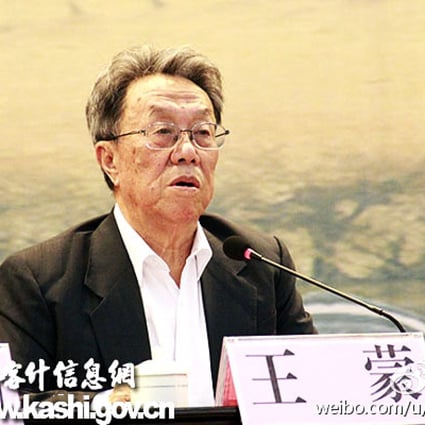Wang Meng speaking in Kashgar last year. Photo: Screenshot via Weibo