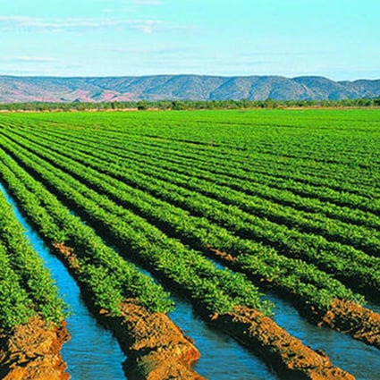 The government says crops grown in northern Australia could help feed Asia. Photo: Western Australian Agriculture Authority