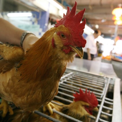 The import ban came after a bird-flu scare. Photo: Sam Tsang