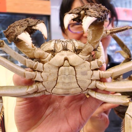 Hairy crab prices have dropped by more than 10 per cent as the government's anti-graft campaign bites. Photo: Jonathan Wong
