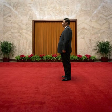 Xi has said that China's path of socialism with a Chinese character is the only way to foster the country's development. Photo: Reuters
