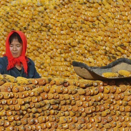 Depriving women farmers of land rights will set back China South China Morning Post