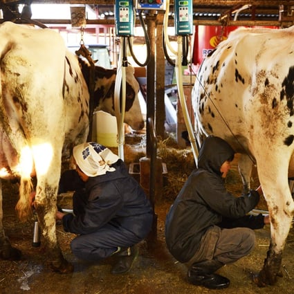 Butter Shortages Signal Decline Of Farming Life In Japan South China Morning Post
