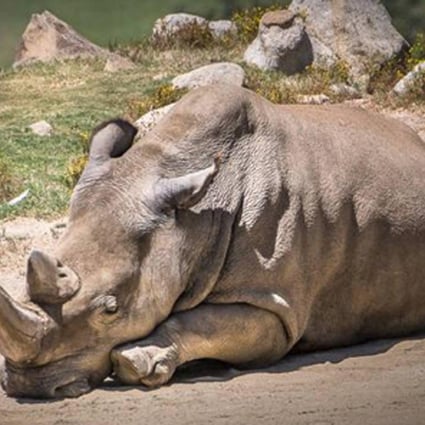 Angalifu died aged about 44 at San Diego Zoo Safari Park.