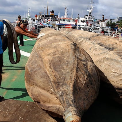 The recovery mission for the crashed AirAsia plane continues in Pangkalan Bun. Photo: EPA
