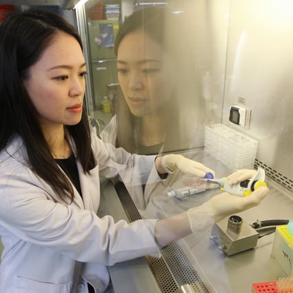 Dr Cathy Lui works on a possible cure for brain diseases at Baptist University. Photo: Edward Wong
