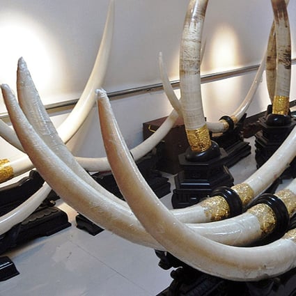 Beijing urged to end trade in ivory