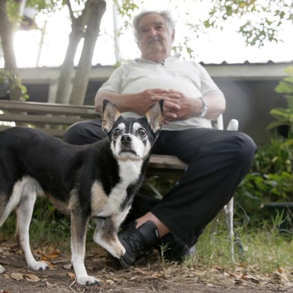 President Jose Mujica and his dog, Manuela. Photo: Reuters