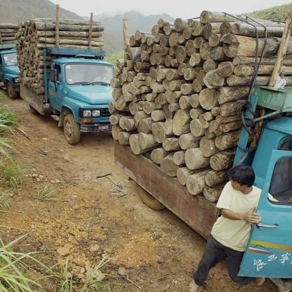 Vehicles transport logs across the Vietnam-China border. According to a new paper, the region's environment has been affected by ''aggressive'' human activity for more than 1,800 years. Photo: AFP
