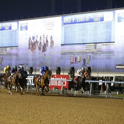 The Dubai World Cup meeting attracts many of the world's leading racehorses. Photo: EPA