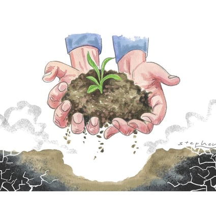 Soils filter water and store carbon; they are the cradle of life. 